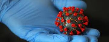 Во Франции обнаружили новый штамм коронавируса